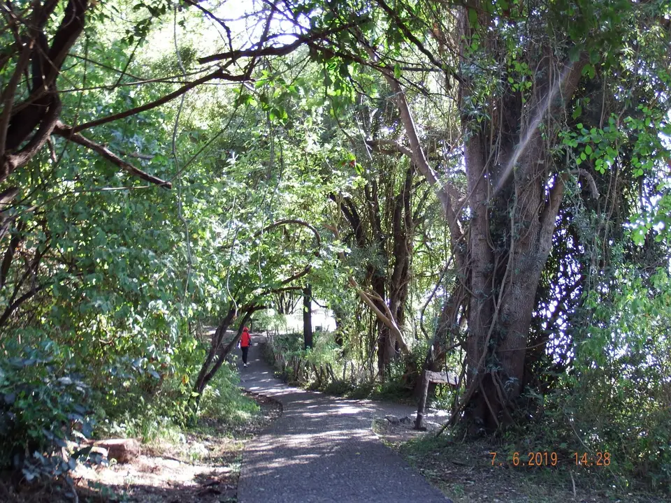 DSCF0633.JPG