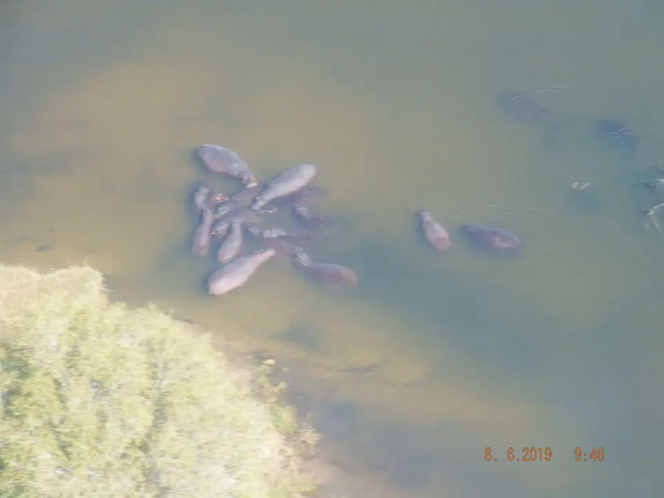 DSCF0760.JPG