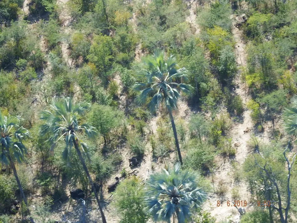 DSCF0771.JPG