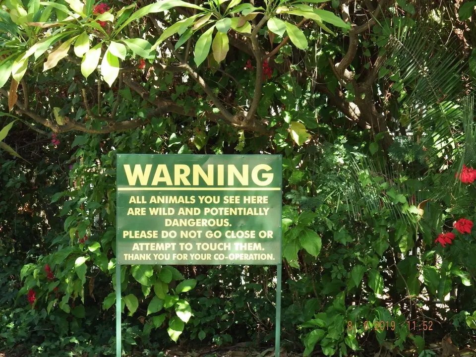 DSCF0816.JPG