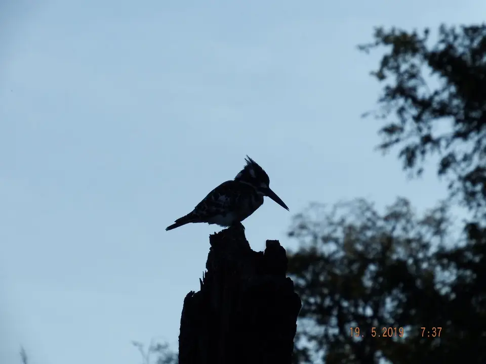 DSCF7267.JPG