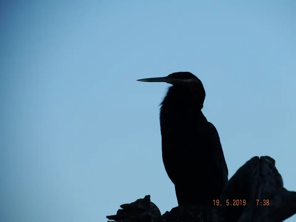 DSCF7269.JPG