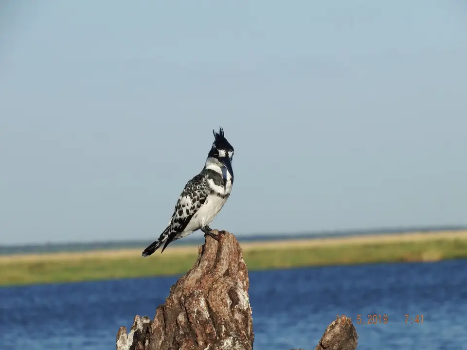 DSCF7274.JPG