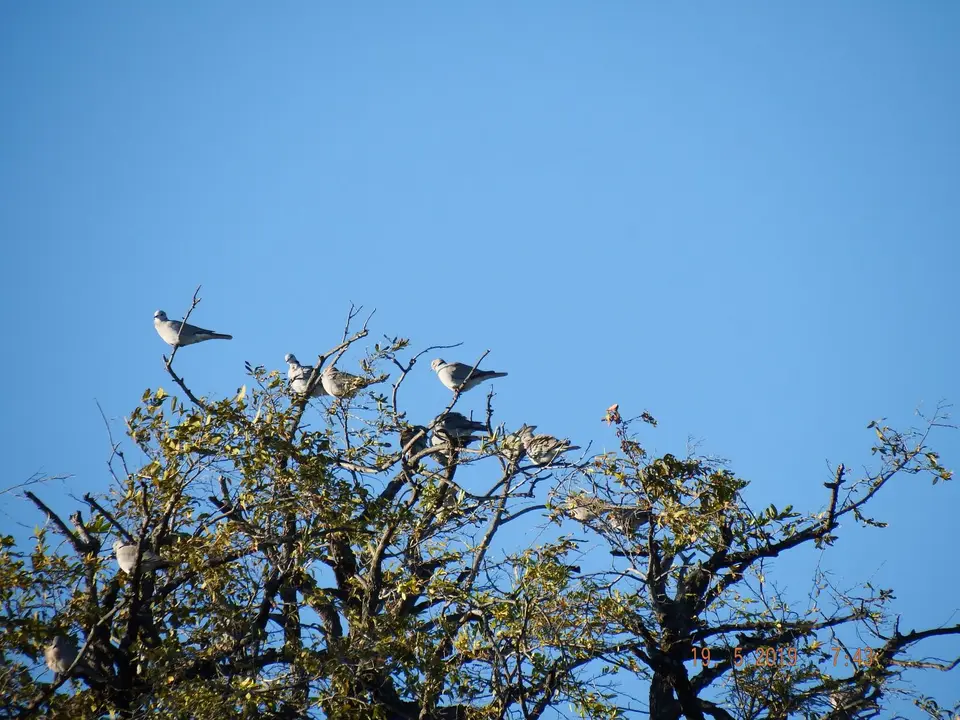 DSCF7276.JPG