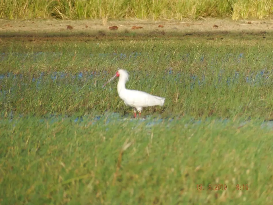 DSCF7325.JPG