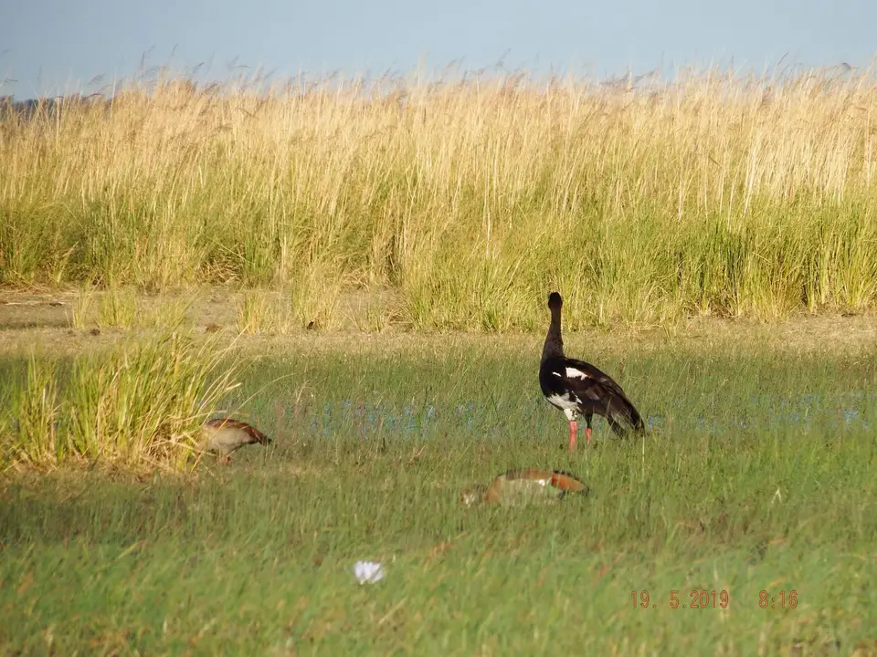 DSCF7327.JPG