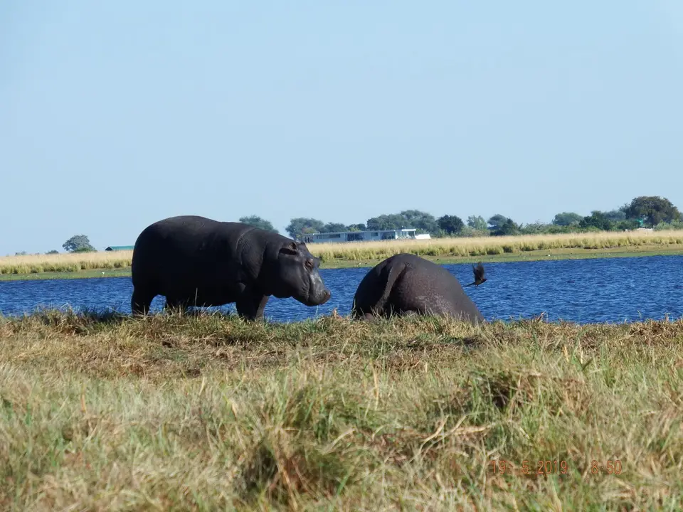 DSCF7370.JPG