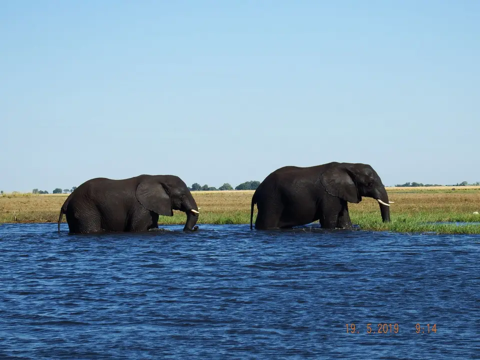 DSCF7422.JPG