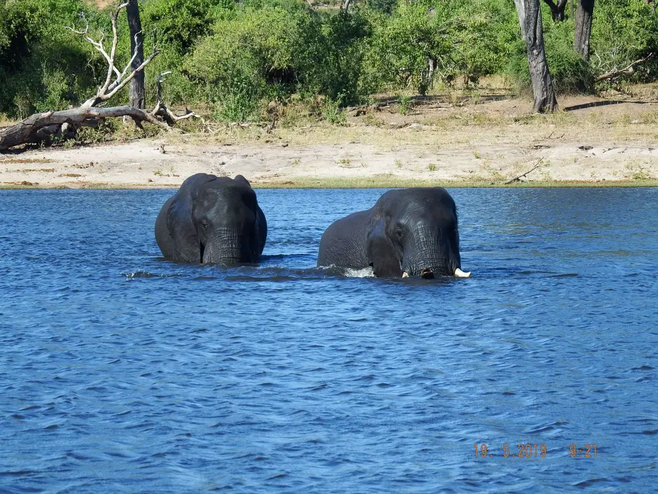 DSCF7432.JPG