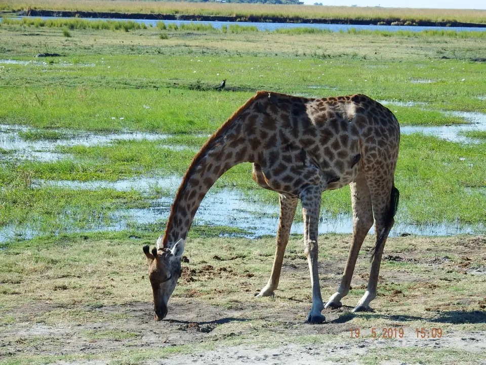 DSCF7485.JPG