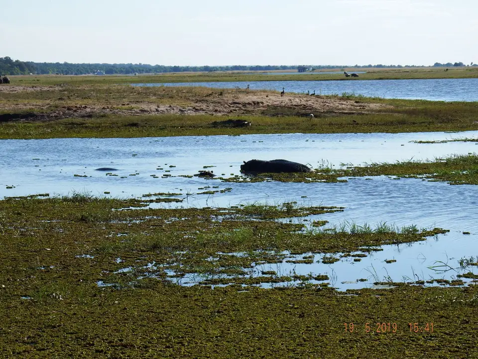 DSCF7509.JPG