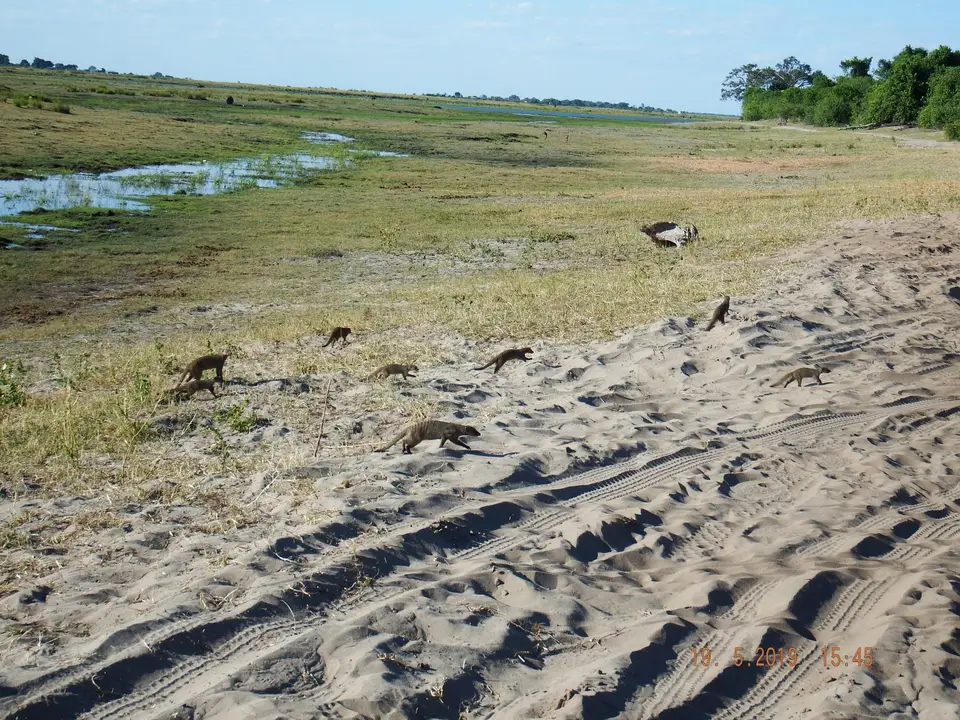 DSCF7514.JPG