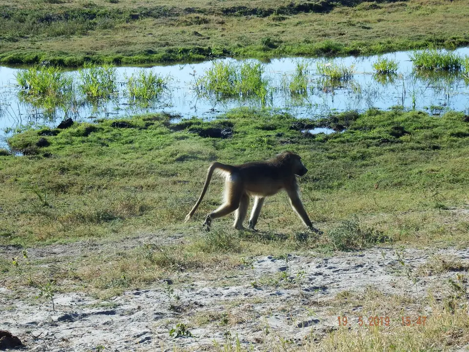 DSCF7519.JPG