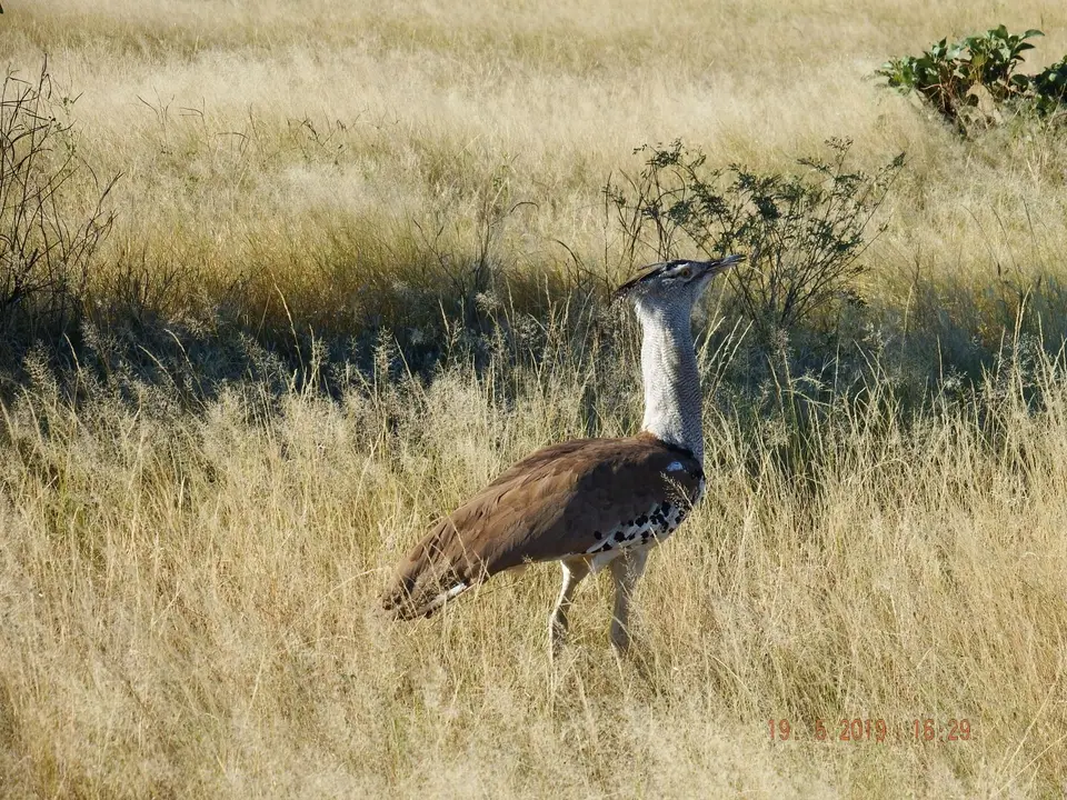 DSCF7532.JPG