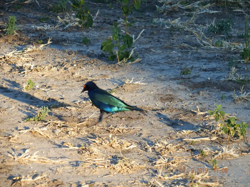 DSCF7549.JPG