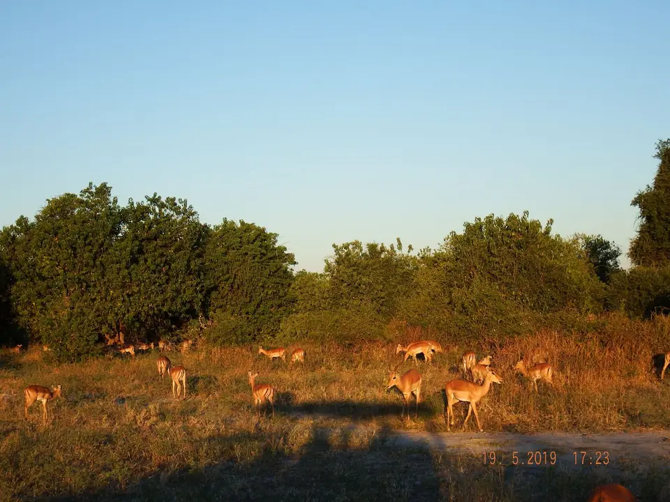 DSCF7557.JPG