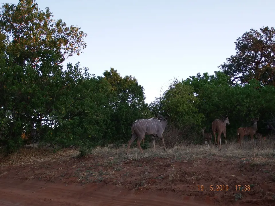 DSCF7565.JPG