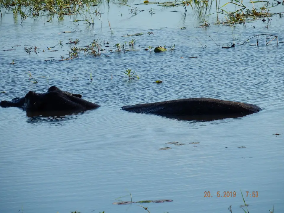 DSCF7579.JPG
