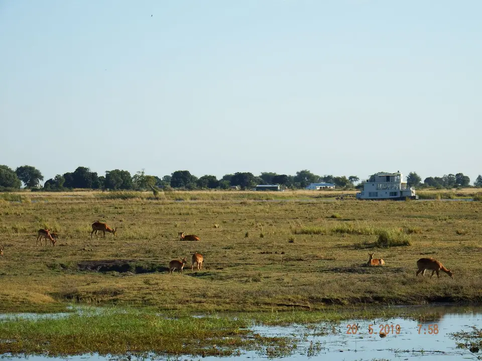 DSCF7583.JPG