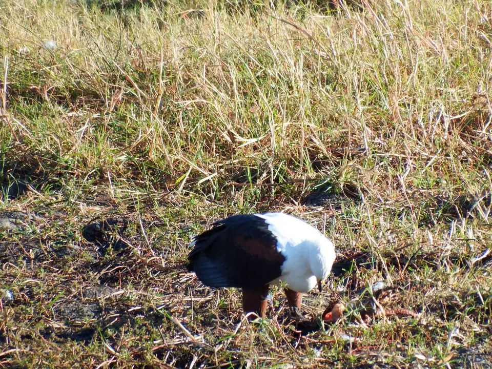 DSCF7585.JPG