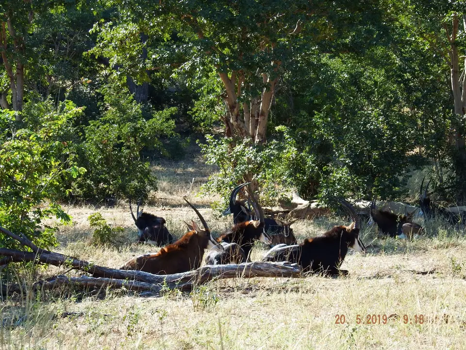 DSCF7612.JPG