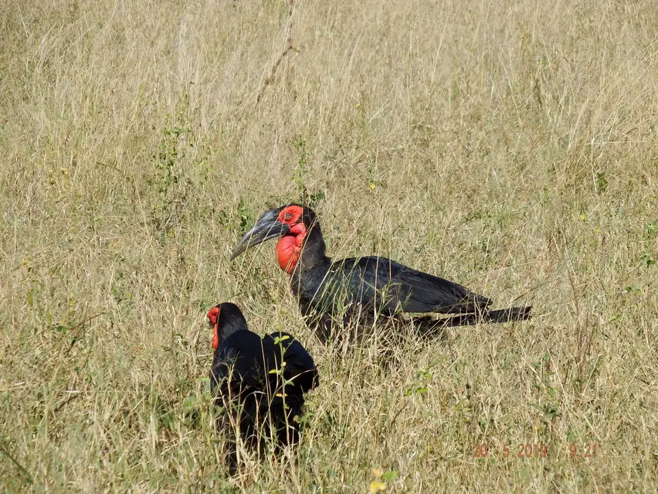 DSCF7619.JPG