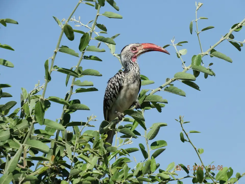 DSCF7629.JPG