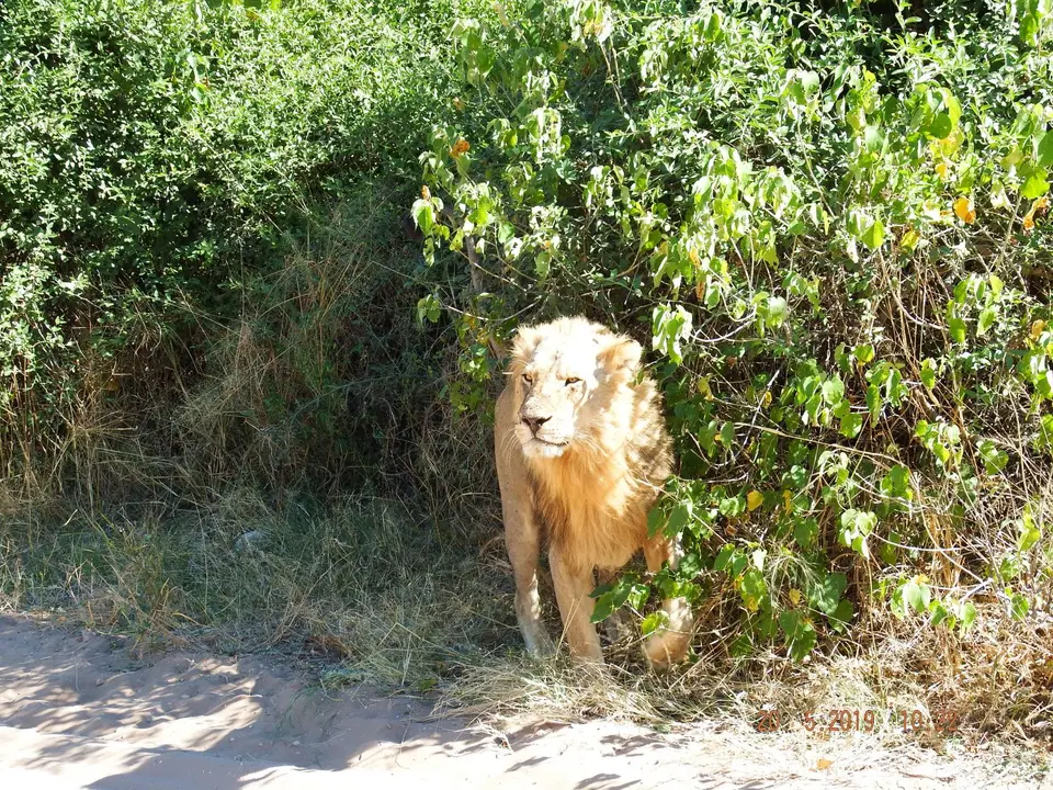 DSCF7633.JPG
