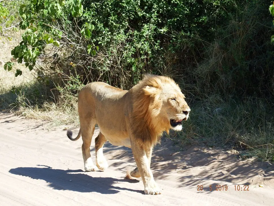 DSCF7634.JPG