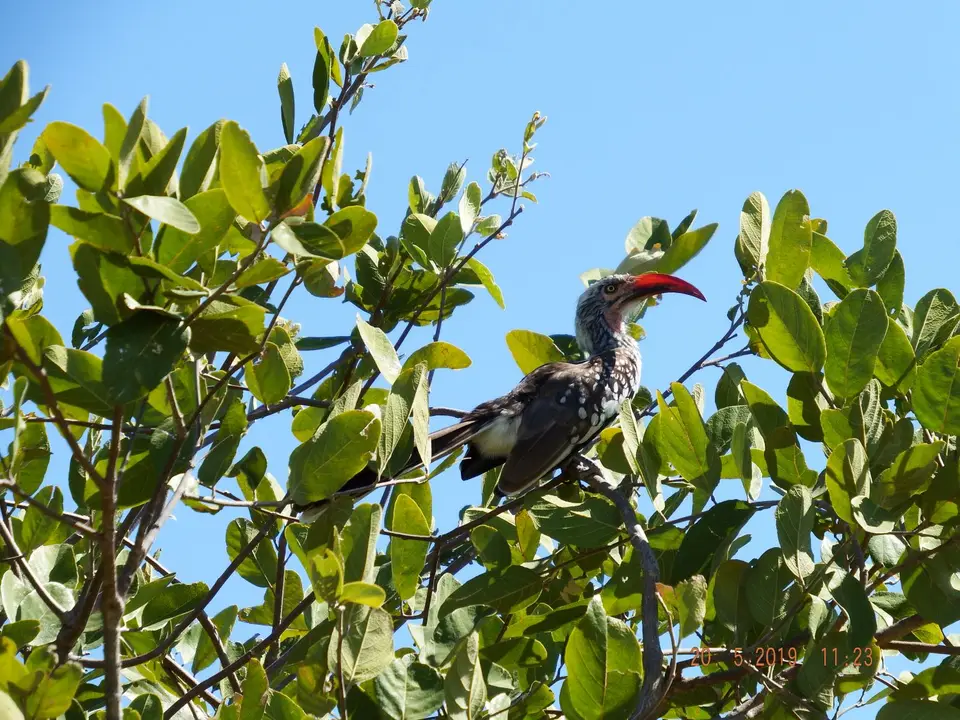 DSCF7638.JPG