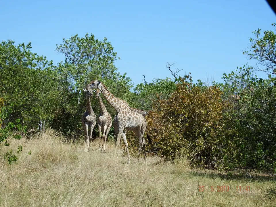 DSCF7647.JPG