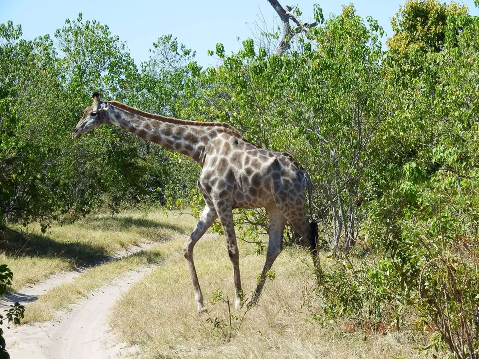 DSCF7661-2.JPG