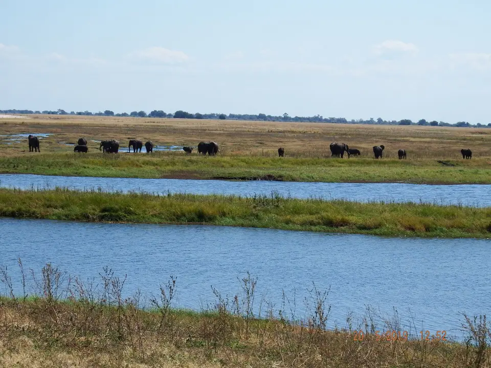 DSCF7682.JPG