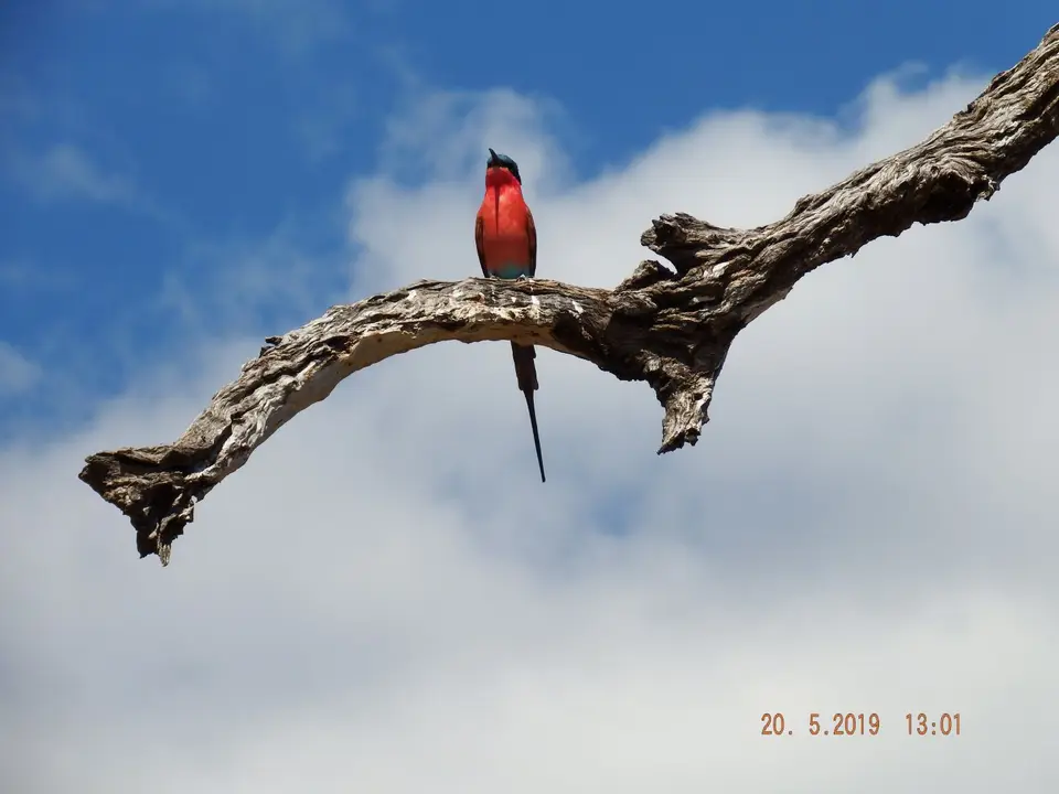 DSCF7685.JPG
