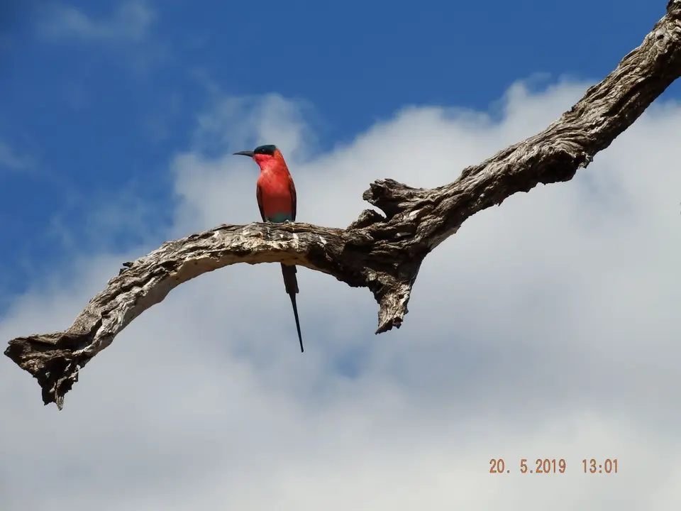 DSCF7686.JPG
