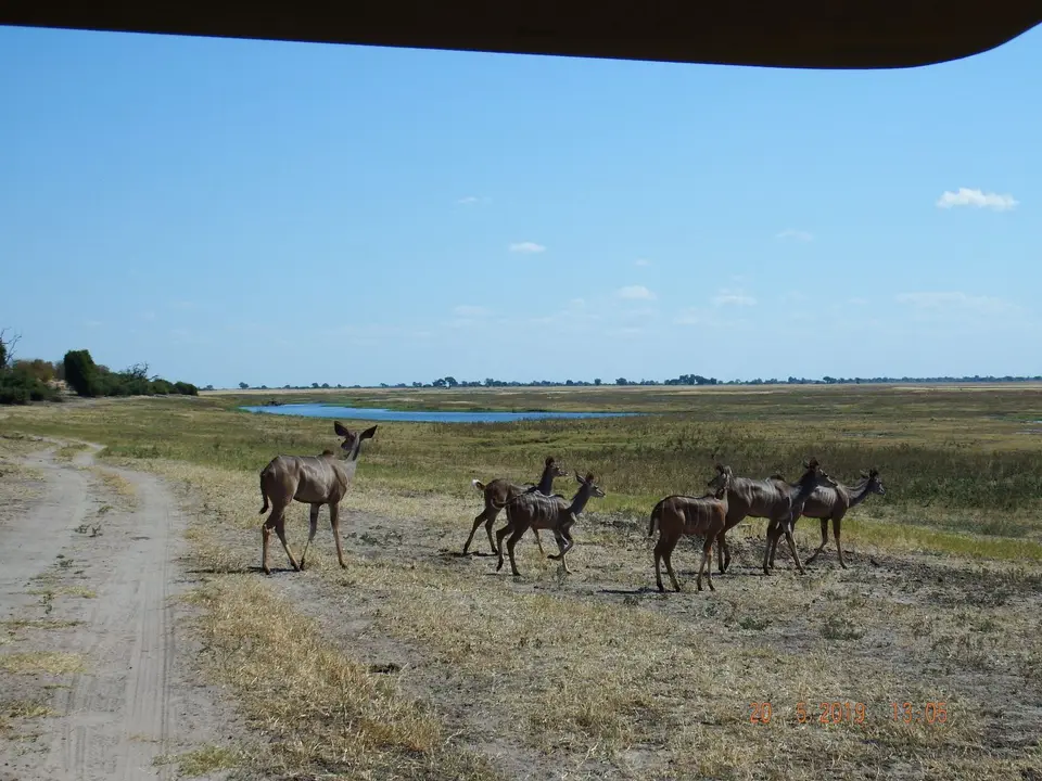 DSCF7691.JPG