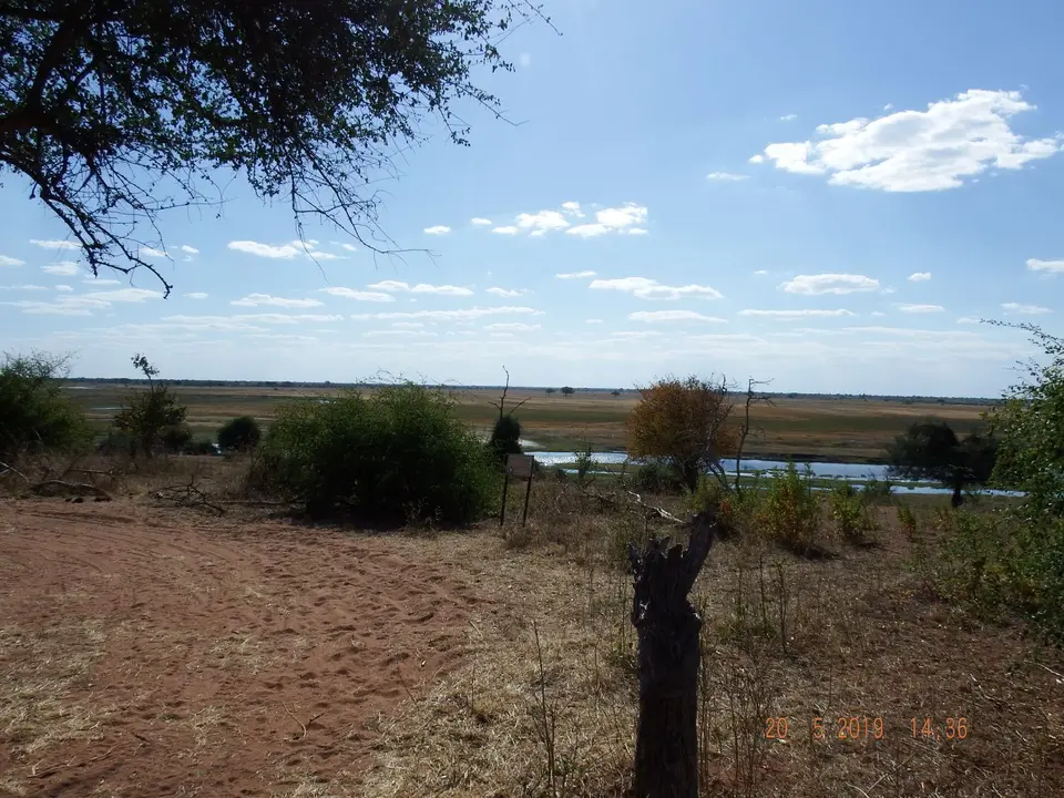 DSCF7702.JPG