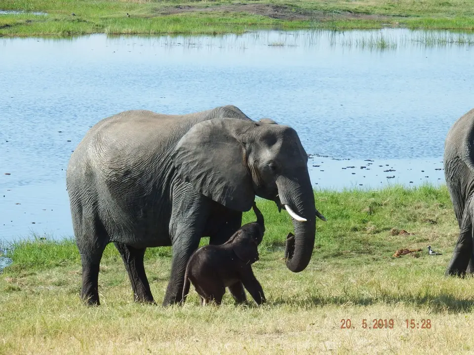 DSCF7716.JPG