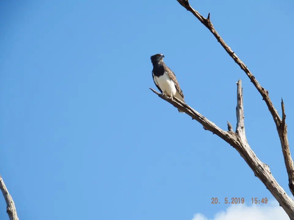 DSCF7728.JPG