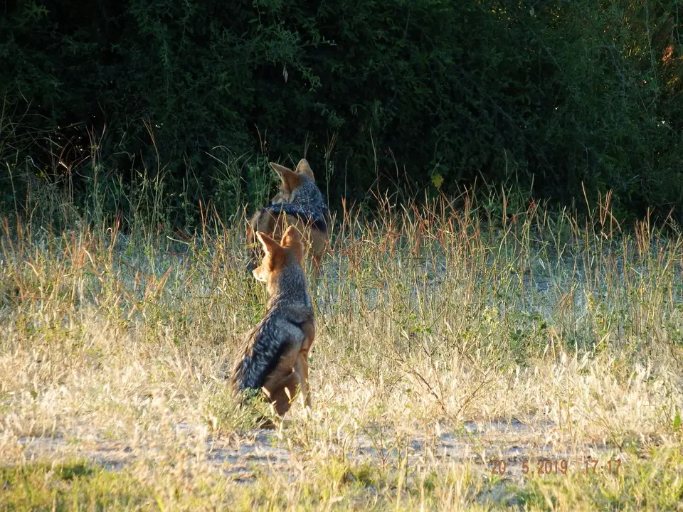 DSCF7741.JPG
