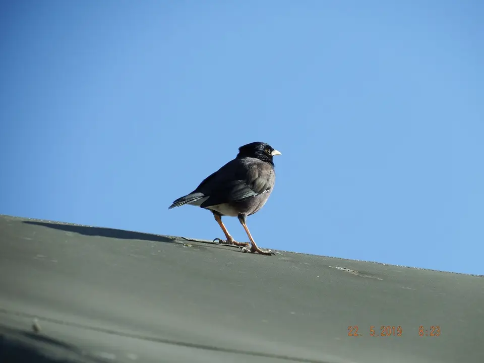 DSCF7870.JPG