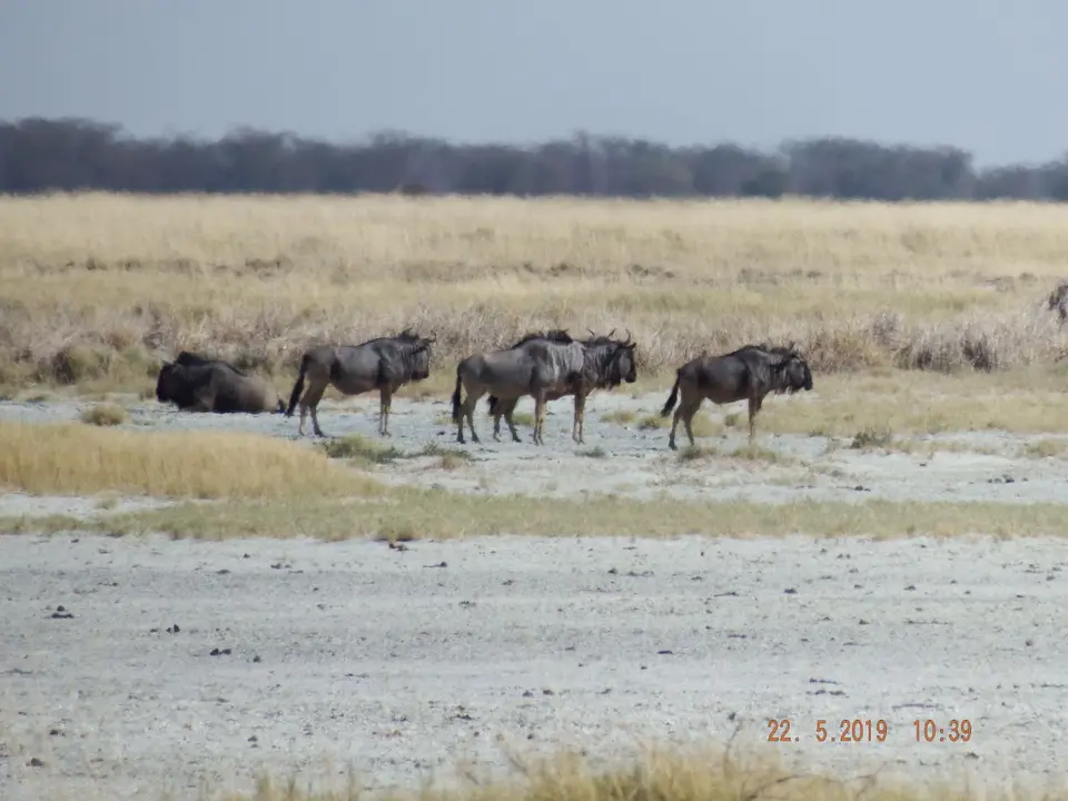 DSCF7879.JPG