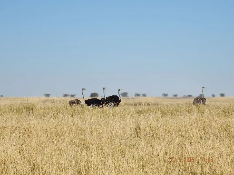 DSCF7882.JPG