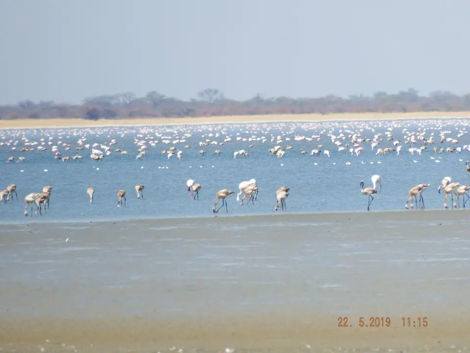 DSCF7900.JPG