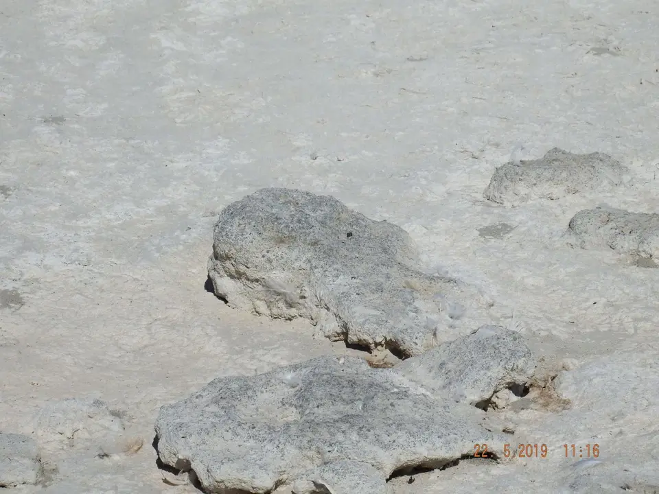 DSCF7901.JPG