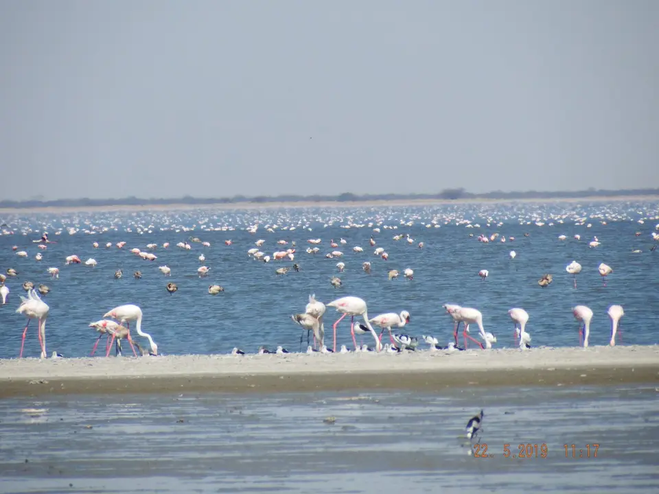DSCF7903.JPG