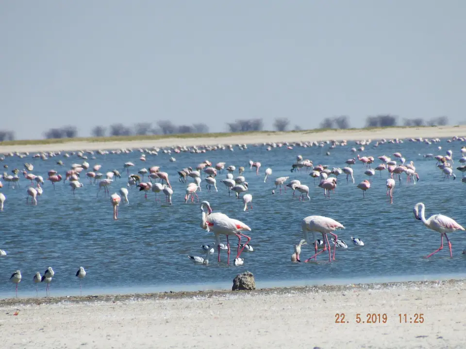 DSCF7908.JPG