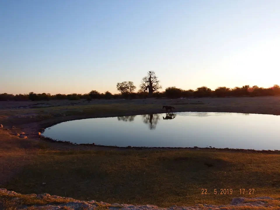 DSCF7939.JPG