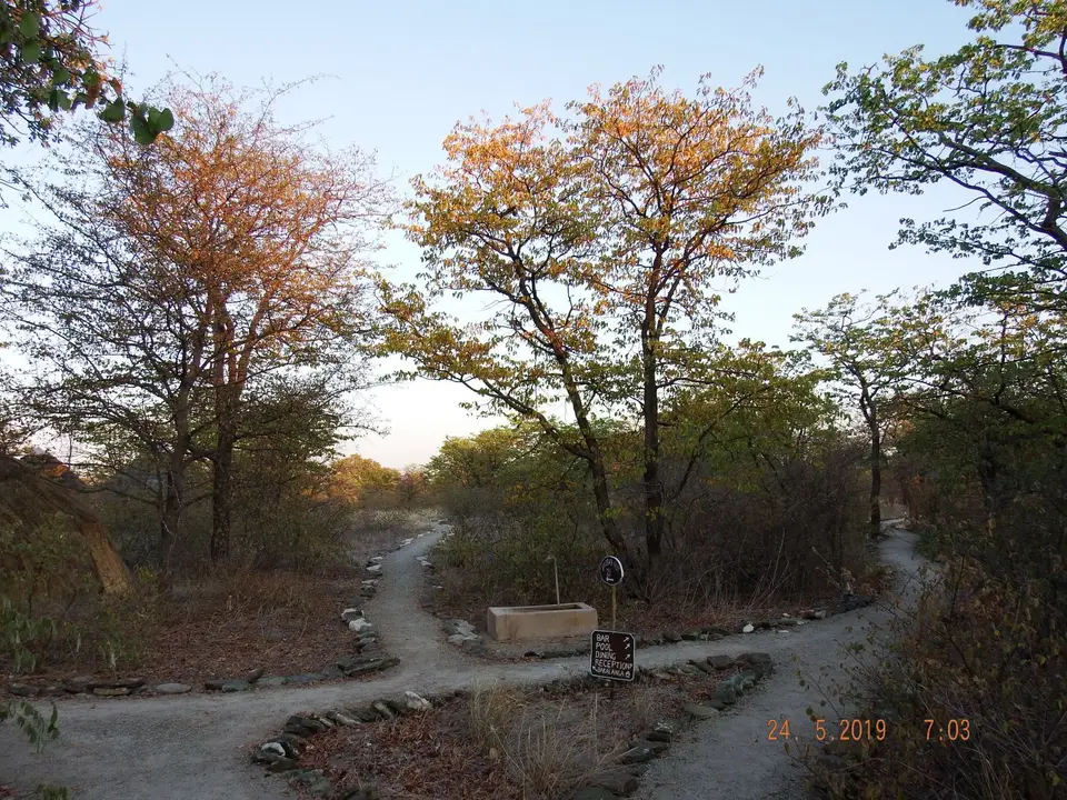 DSCF7979.JPG