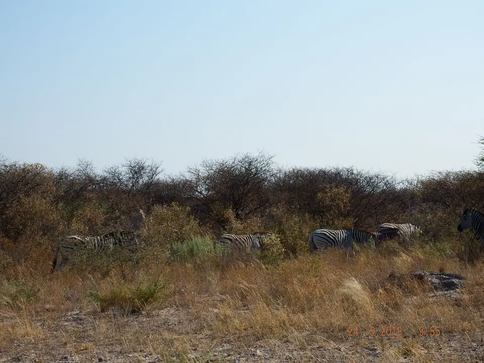 DSCF7988.JPG